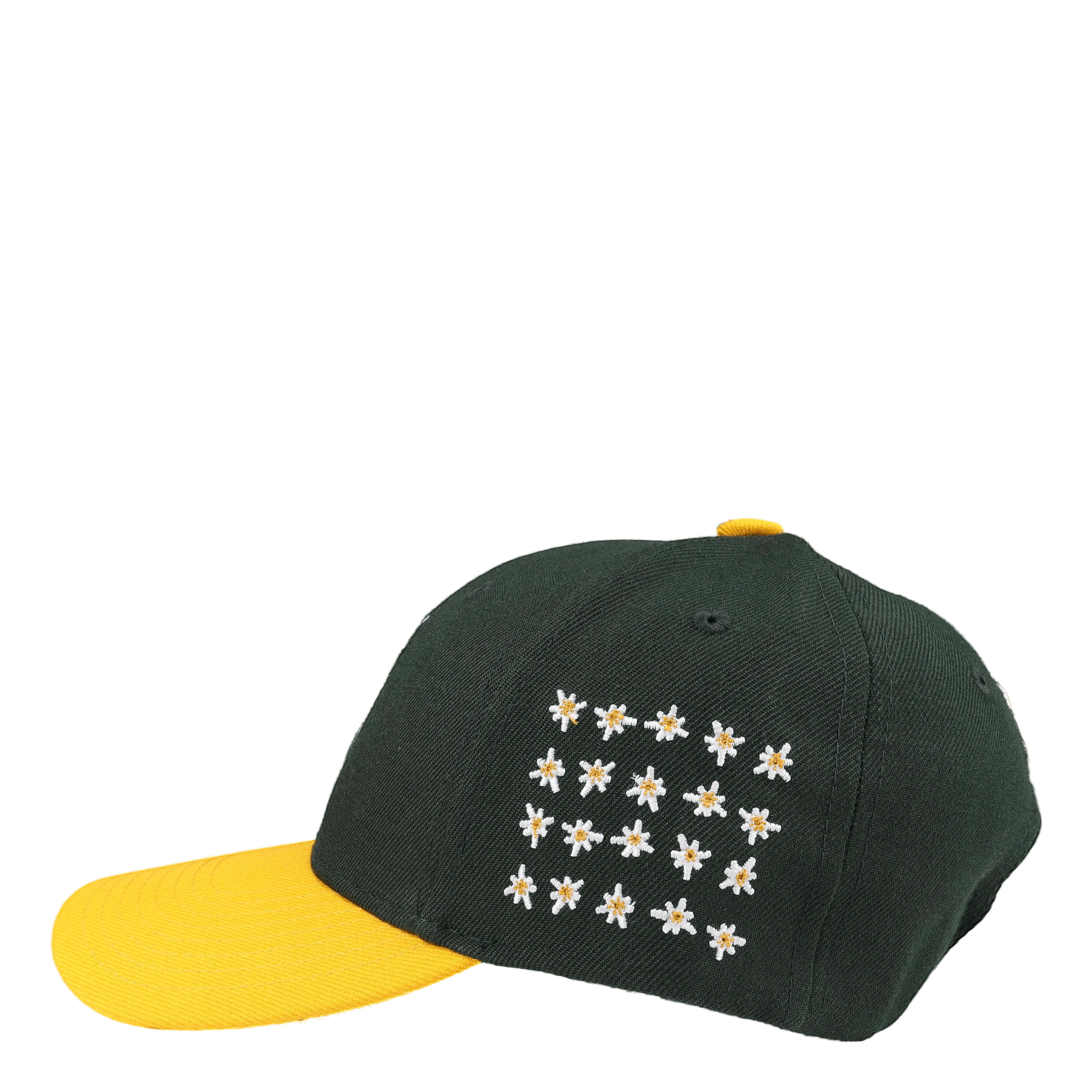 Anniversary 6 Panel Hat Green