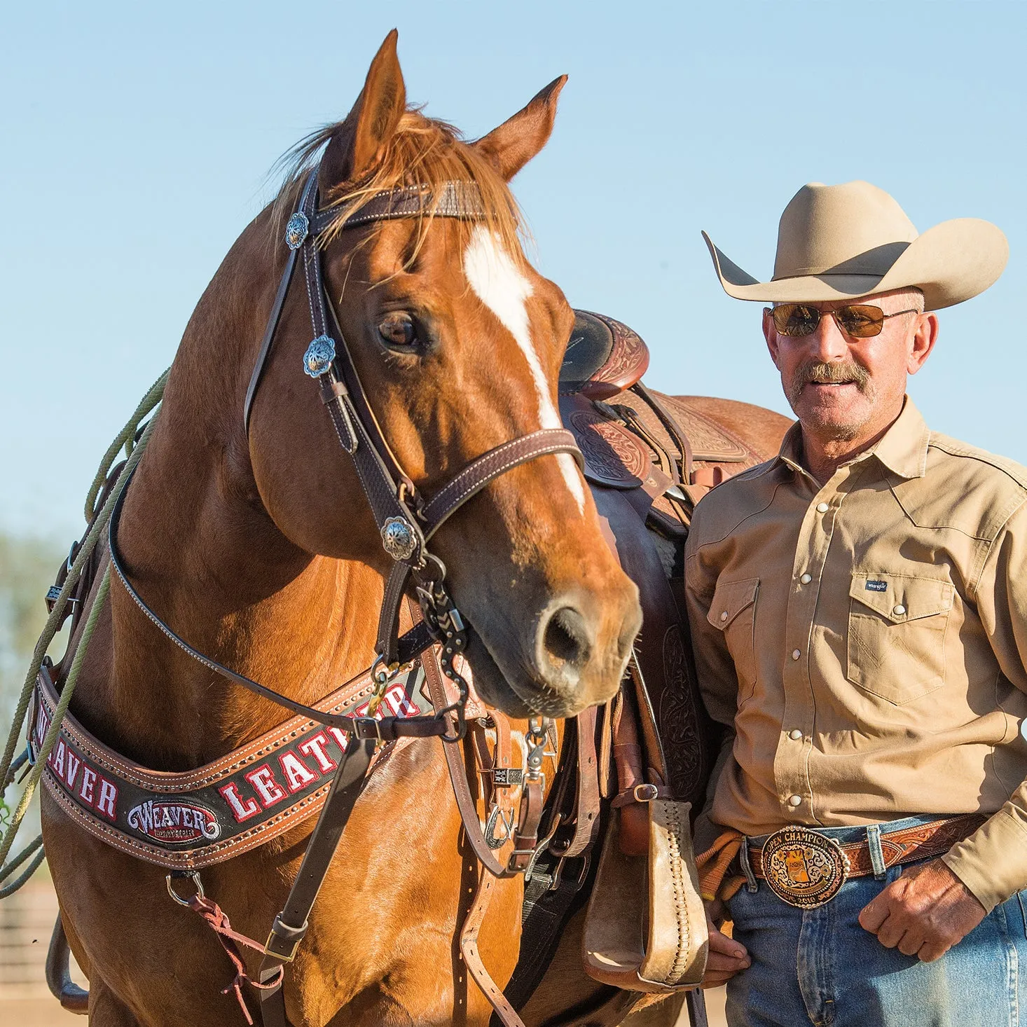 Basin Cowboy Noseband