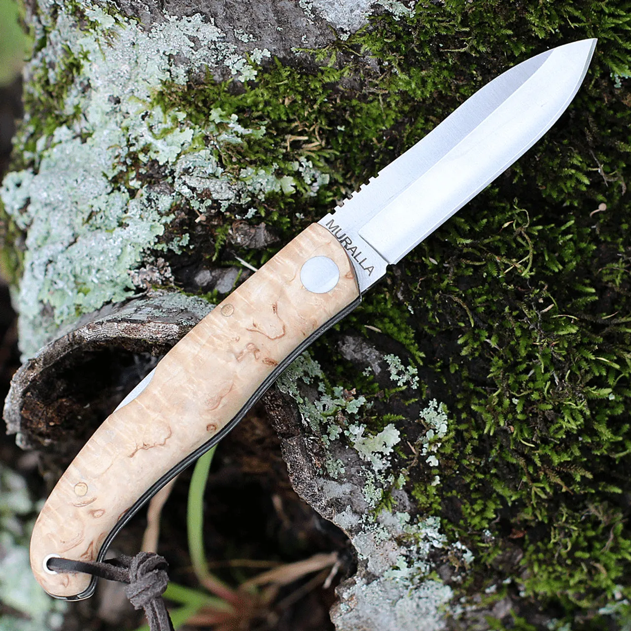 Castillo Muralla Folding Knife