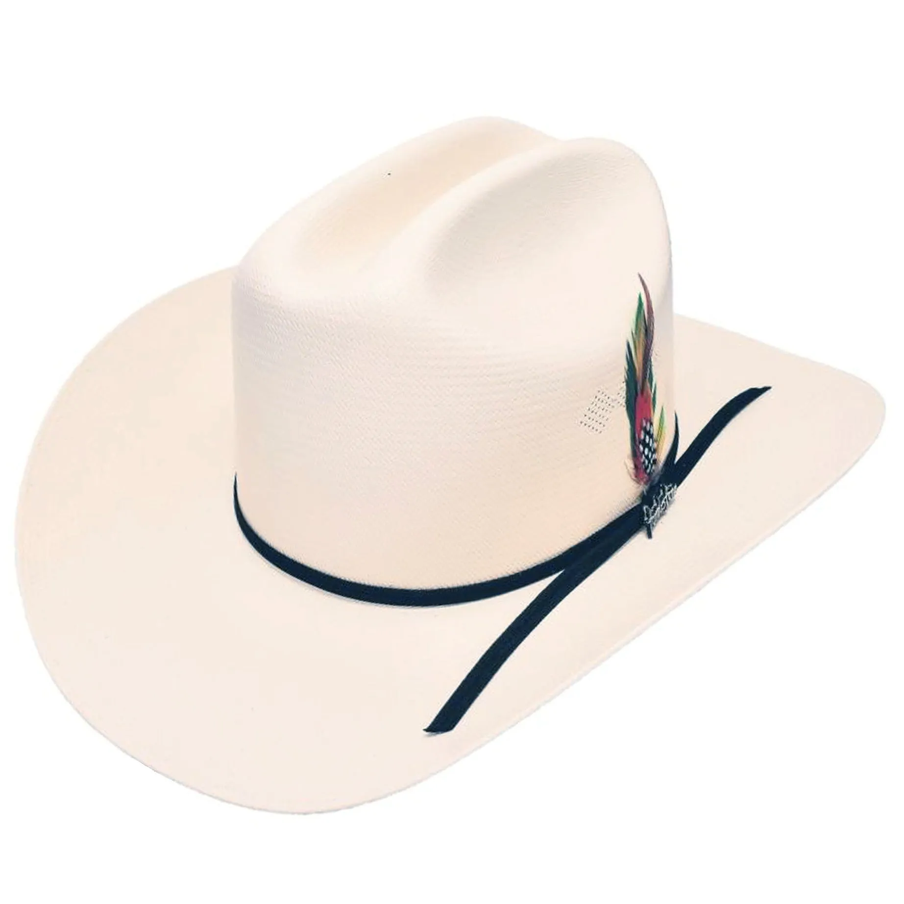 Chaparral 100x Cowboy Hat