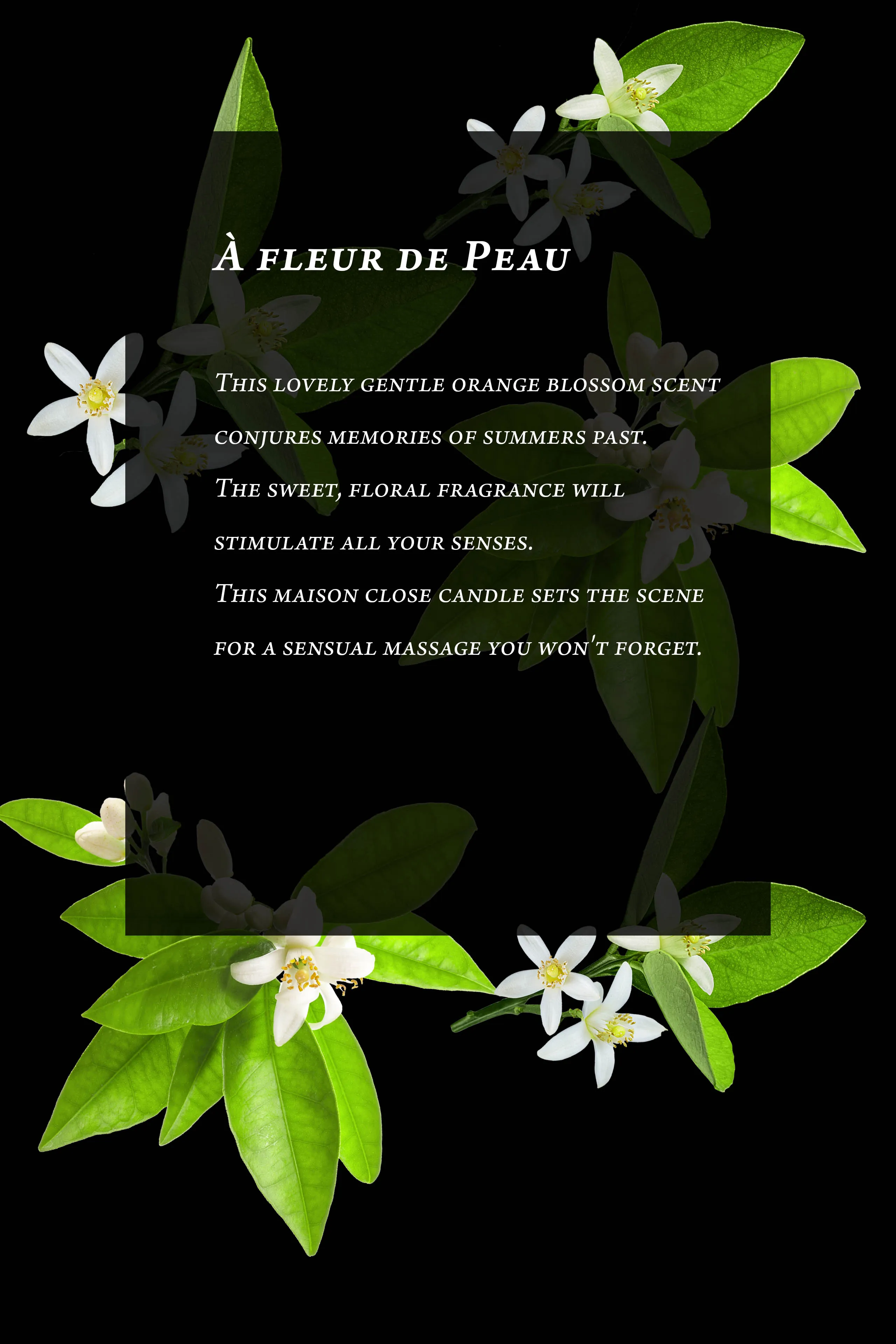 Massage Candle - A fleur de peau - Orange blossom