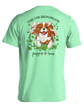 SHENANIGANS SPANIEL